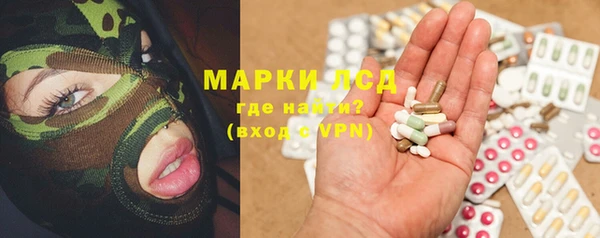 spice Бородино