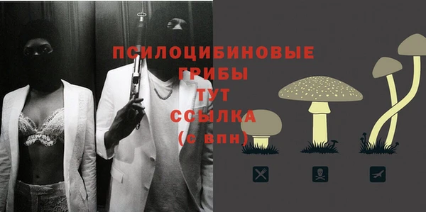 ешки Бугульма