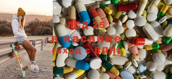spice Бородино