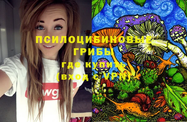 spice Бородино