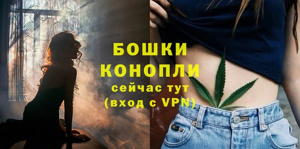 spice Бородино